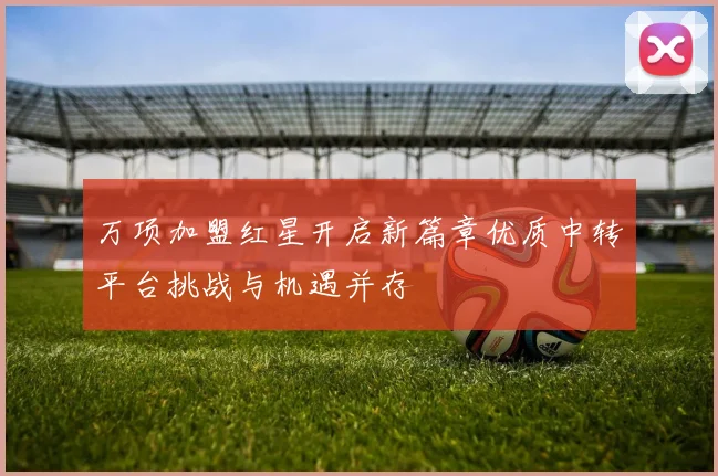 万项加盟红星开启新篇章优质中转平台挑战与机遇并存