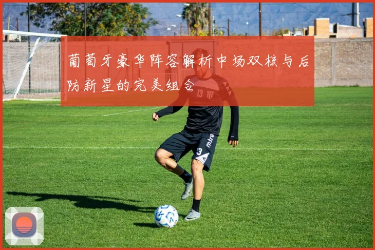 葡萄牙豪华阵容解析中场双核与后防新星的完美组合