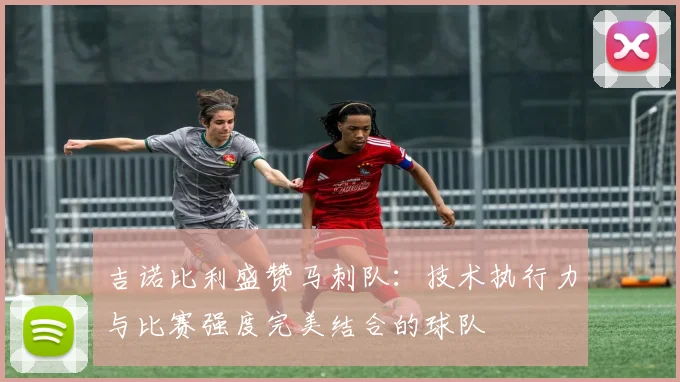 吉诺比利盛赞马刺队：技术执行力与比赛强度完美结合的球队