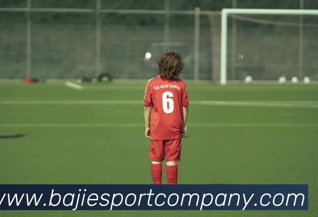 八戒足球体育发展历程